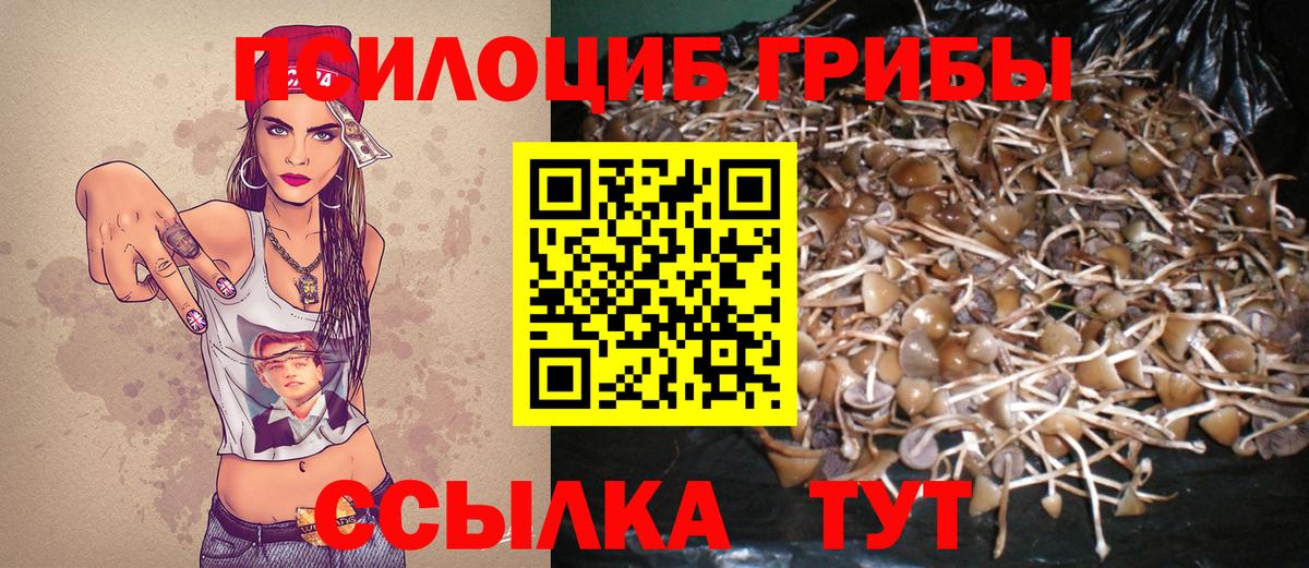 Псилоцибиновые грибы Magic Shrooms Вязьма